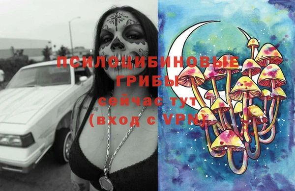 ГАЛЛЮЦИНОГЕННЫЕ ГРИБЫ Армянск
