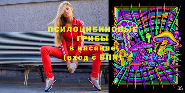 СК Аркадак
