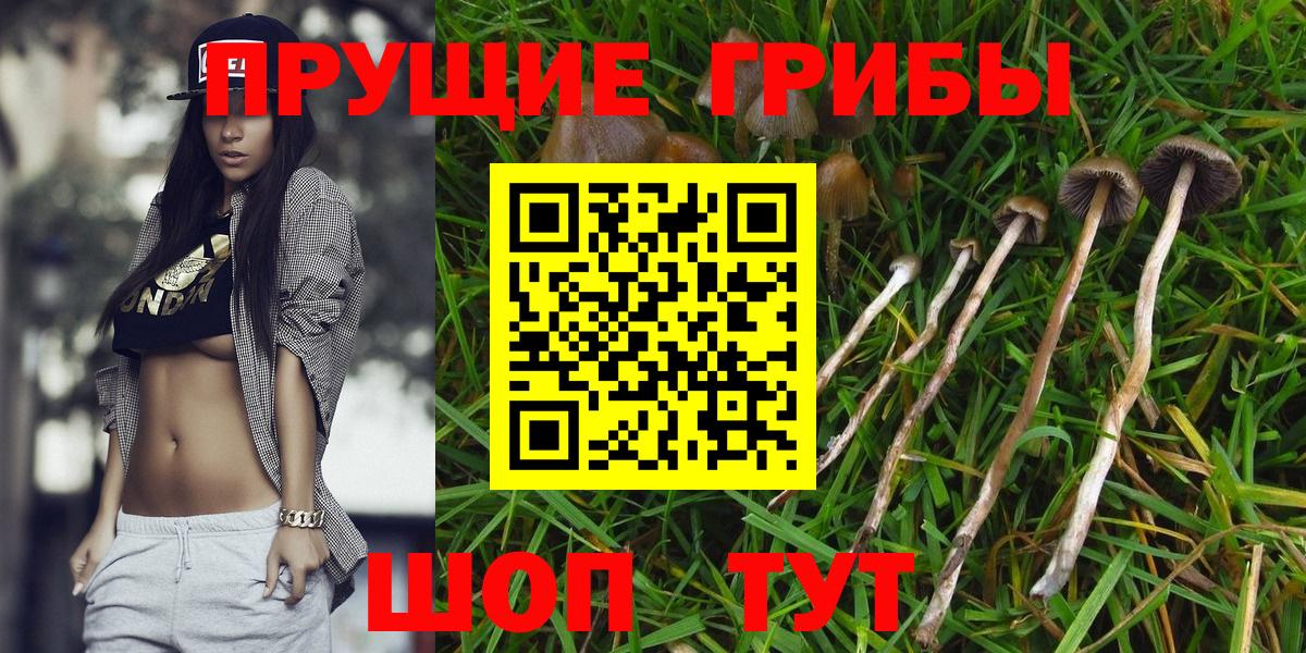 Галлюциногенные грибы мицелий Каспийск