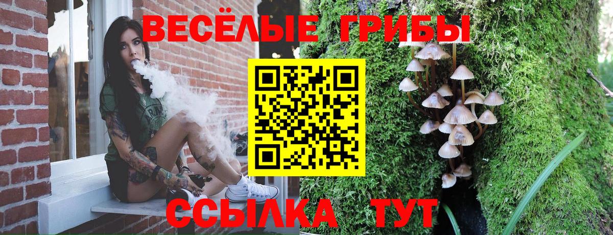 Каспийск  Галлюциногенные грибы Magic Shrooms  Галлюциногенные грибы MAGIC MUSHROOMS  Вход с VPN 